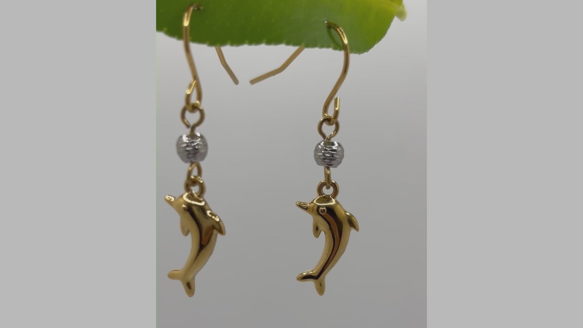 Sinaya Jewels Elegant Dolphin Earring